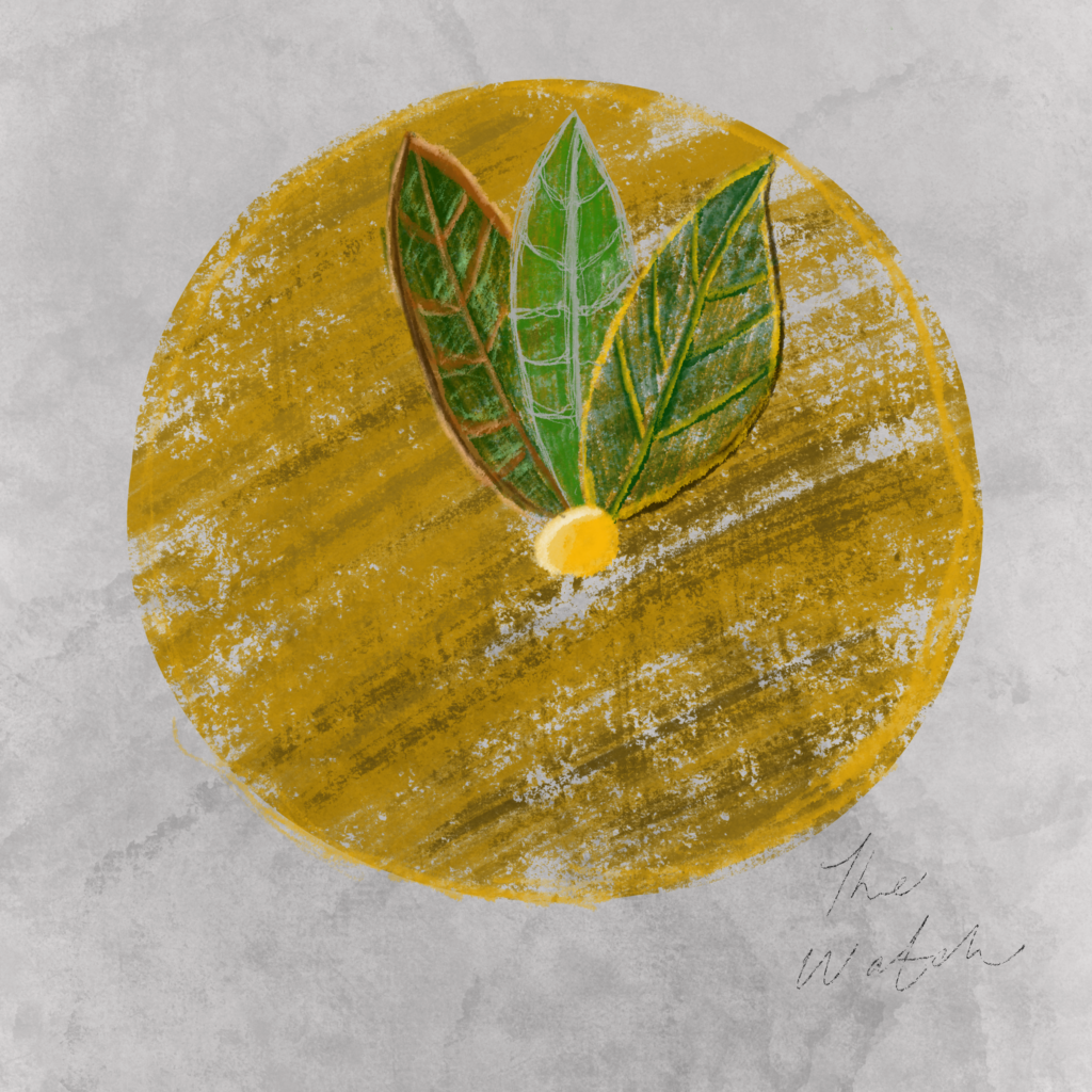 This image has an empty alt attribute; its file name is Untitled_Artwork-1024x1024.png